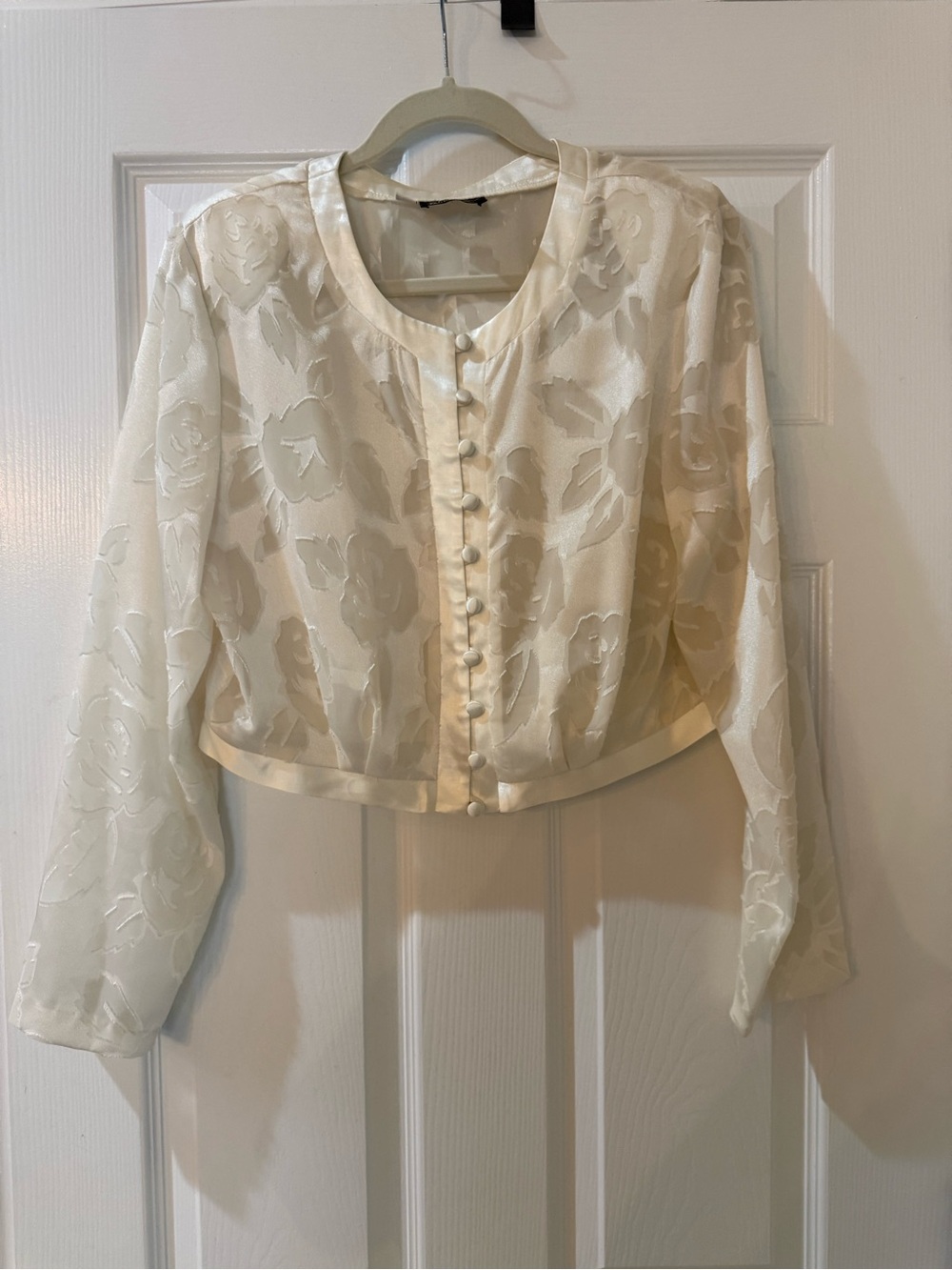 Vintage Wild Rose Sheer Cream Floral Jacquard Button-Up Crop Blouse
